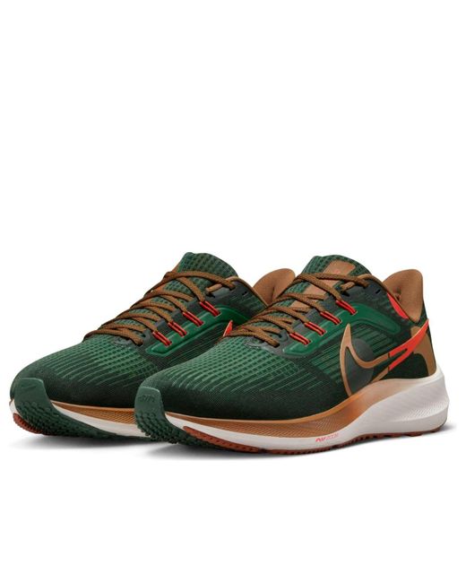 Nike Brown X Hola Lou Air Zoom Pegasus 39 'A.I.R. for men