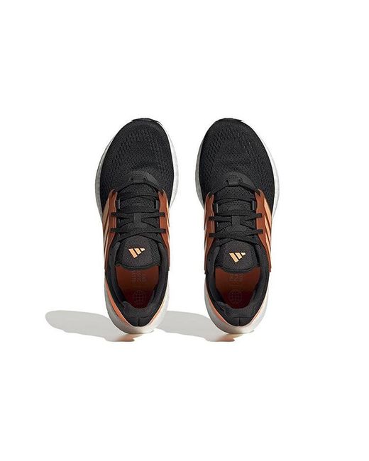 Adidas Blue Pureboost 22 for men