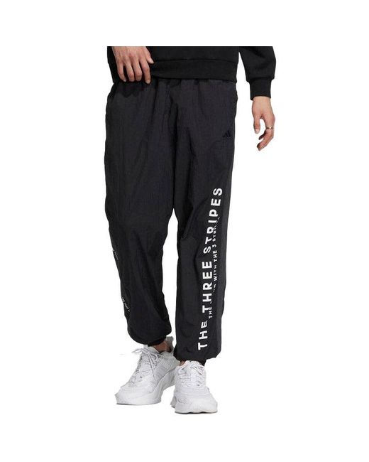 Adidas Black Wording Pants for men