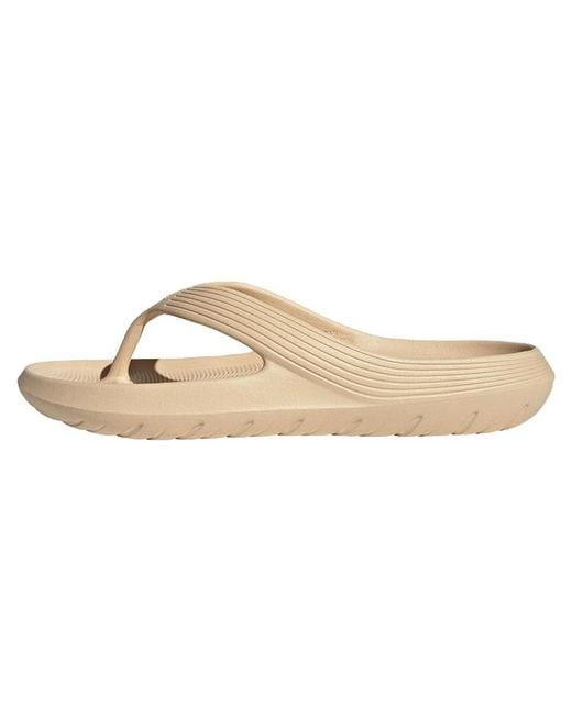 Adidas Natural Adicane Flip Flop 'Sand Strata'