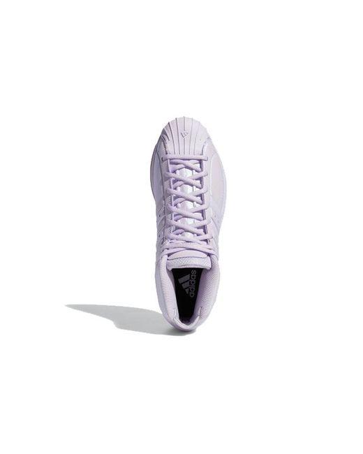Adidas Purple Pro Model 2G Tint' for men
