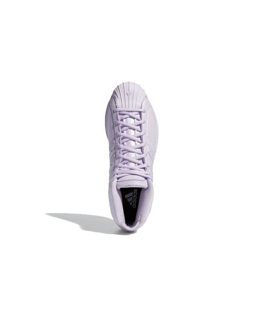 Adidas Purple Pro Model 2G Tint' for men