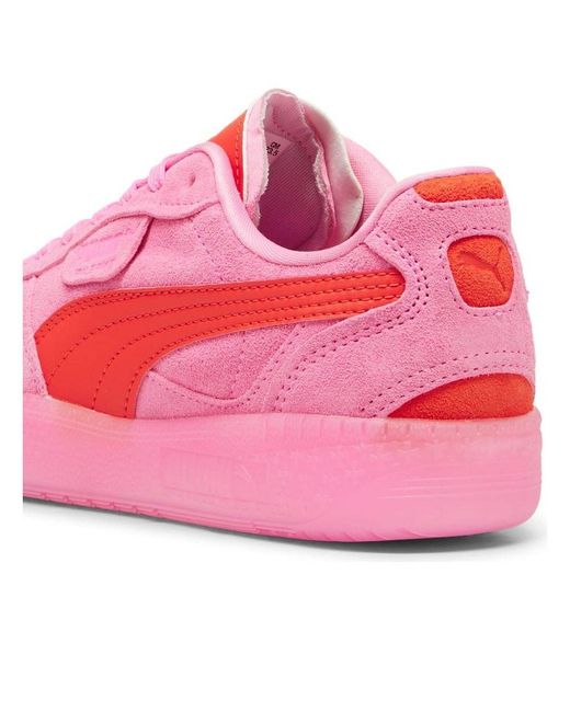 PUMA Pink (Wmns) Palermo Moda Xtra 'Poison'