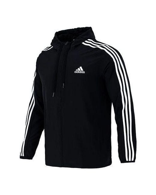 Adidas Blue 3S Wb Training Sports Hooded Logo Jacket Autumn for men