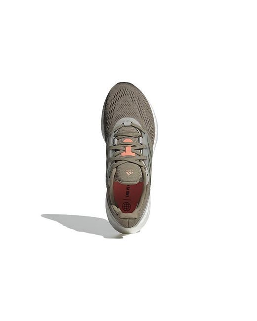 Adidas Brown Pure Boost 22 for men