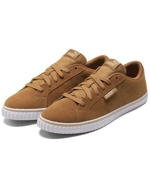 PUMA Brown Ever Lopro Sd Casual Skateboarding Shoes for men