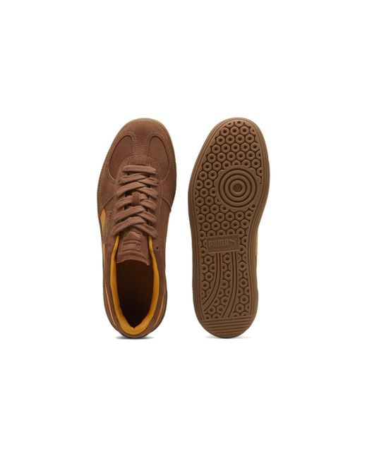 PUMA Brown Palermo Mushroom Ginger Tea' for men