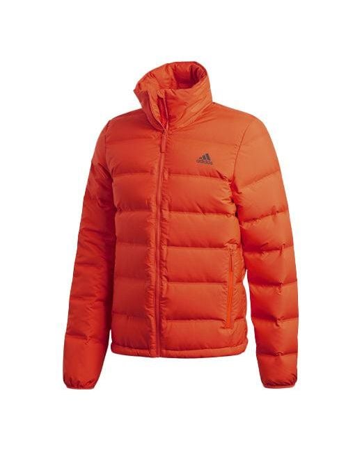 Adidas Red Outdoor Waterproof Sports Stay Warm Stand Collar Down Jacket for men