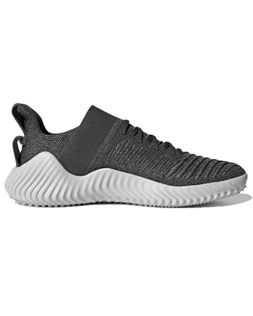 Adidas Brown Alphabounce Trainer for men