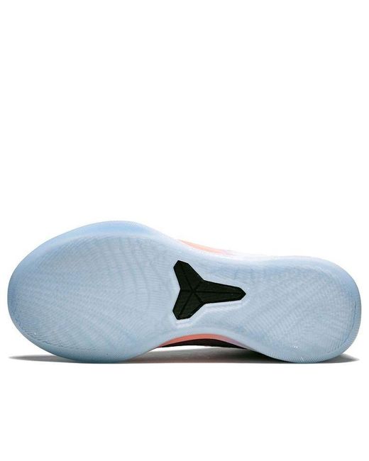 devin booker kobe purple