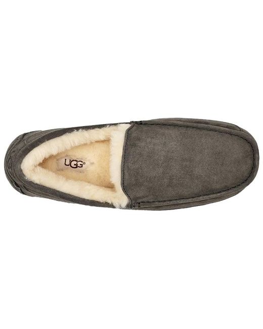 Ugg Brown Ascot Slipper Cozy Fleece Lined Athleisure Casual Sports Shoe for men