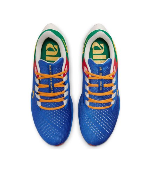 Nike Blue X Moss Air Zoom Pegasus 38 A.I.R. 'All Ways, Always' for men