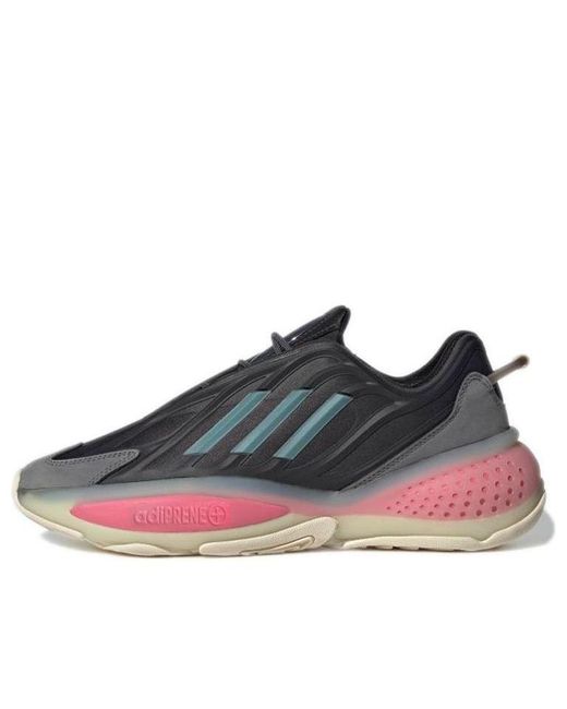 Adidas Blue Ozrah Rose Tone' for men