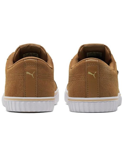 PUMA Brown Ever Lopro Sd Casual Skateboarding Shoes for men