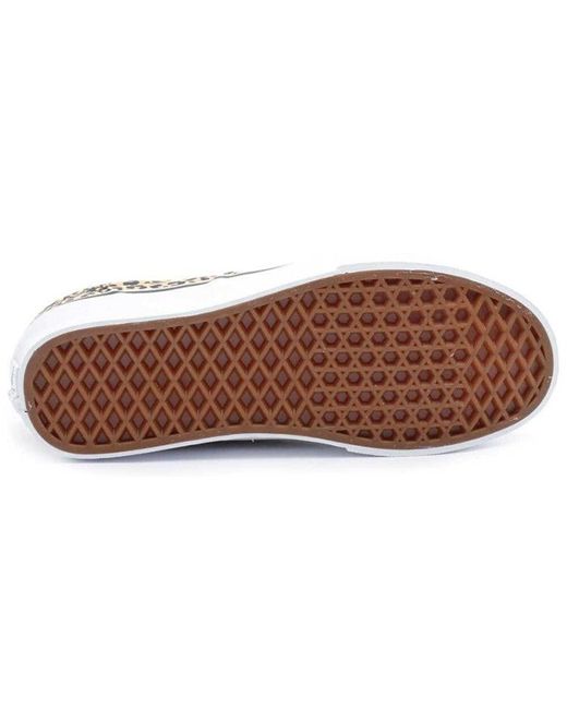 Vans Brown Doheny Leopard for men