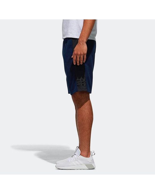 Adidas Blue Neo Cs Cnt Gr St2 Casual Breathable Sports Knit Shorts for men