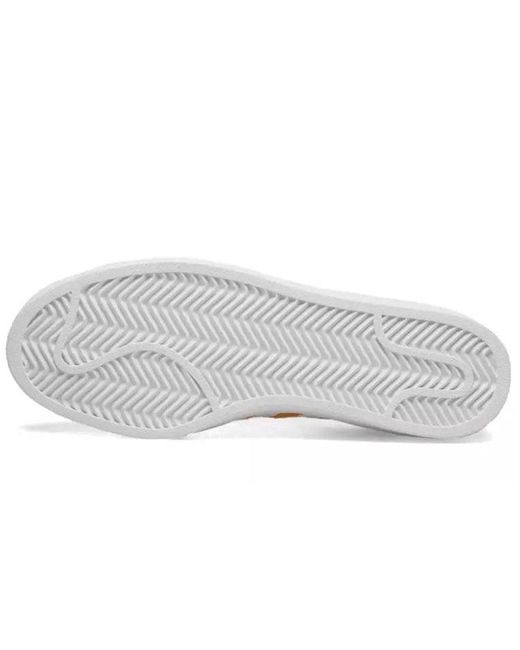 Adidas Orange (Wmns) Campus 'Chalk'