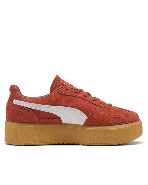 PUMA Red (Wmns) Palermo Elevata 'Mars Gum'