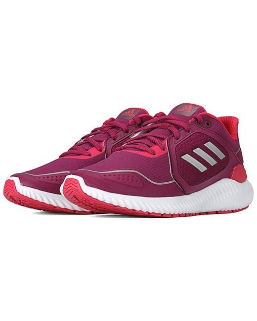 Adidas Purple (Wmns) Climawarm Bounce Rose