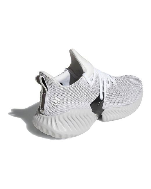 Adidas Gray Alphabounce Instinct 'Cloud Two' for men