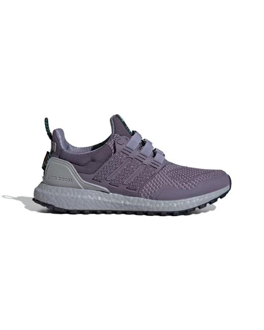 Adidas Blue (Wmns) Ultraboost 1.0 'Shadow'