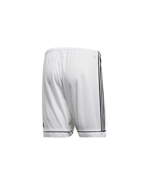 Adidas Gray Squadra 17 Training Shorts for men