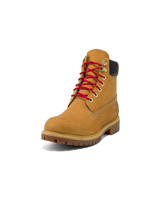 Timberland Brown 6 Inch Waterproof Premium Boots 'Wheat' for men