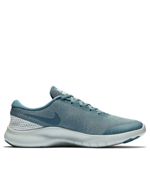 Nike Blue (Wmns) Flex Experience Rn 7 'Celestial'