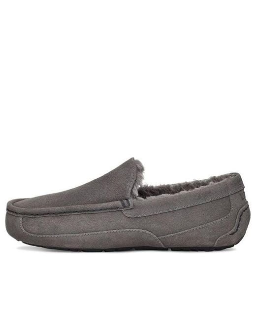 Ugg Gray Ascot Slip-On for men