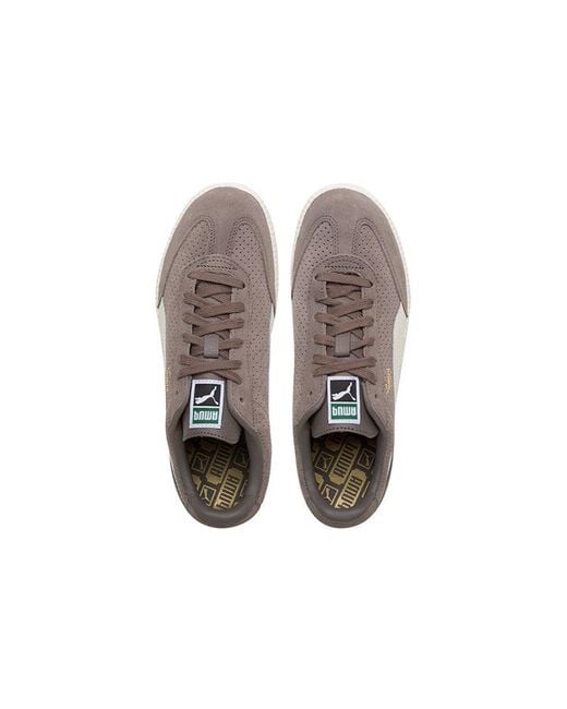 PUMA Brown Liga Suede for men
