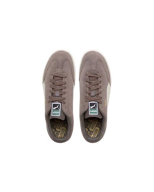 PUMA Brown Liga Suede for men