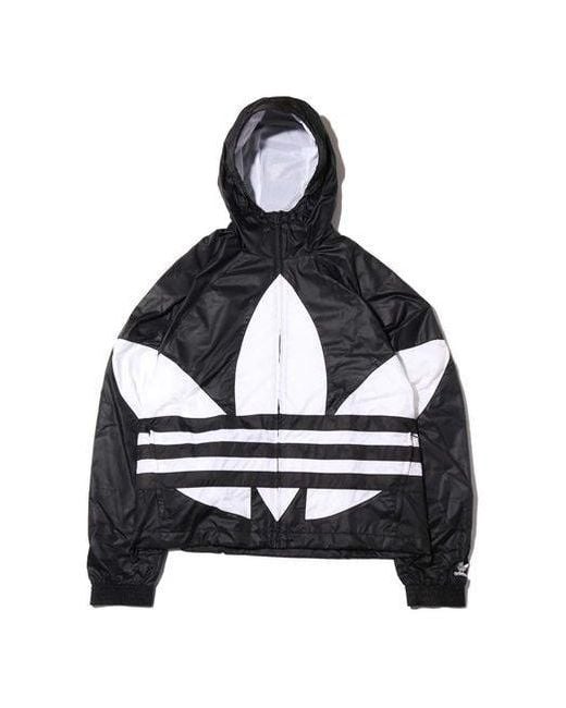 Adidas Black Originals Big Trefoil Windbreaker for men