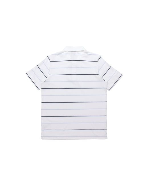 Adidas White Striped Sports Casual Short Sleeve Polo Shirt for men