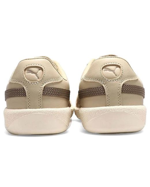 PUMA Brown Army Trainer Low Tops Casual Skateboarding Shoes for men