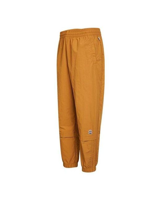 Adidas Brown Neo Solid Color Micro Mark Casual Sports Pants/Trousers/Joggers for men