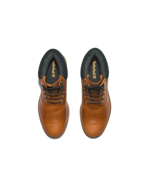 Timberland Brown Premium 6 Inch Waterproof Boot for men