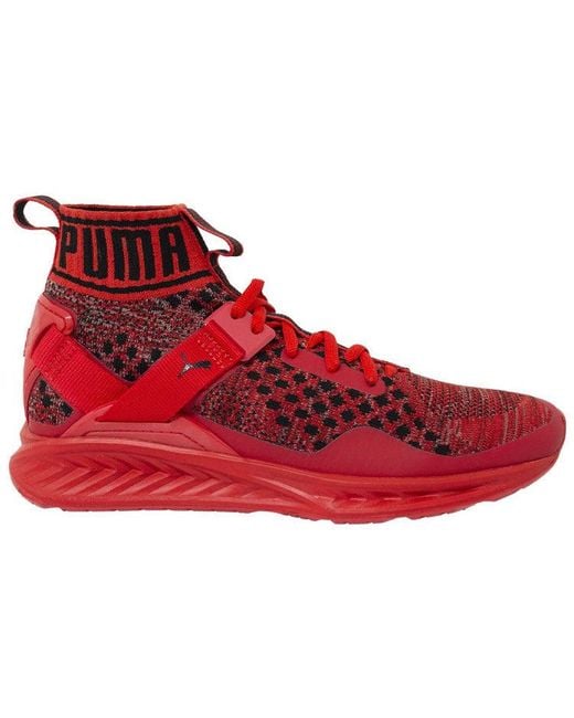 PUMA Red Ignite Evoknit for men
