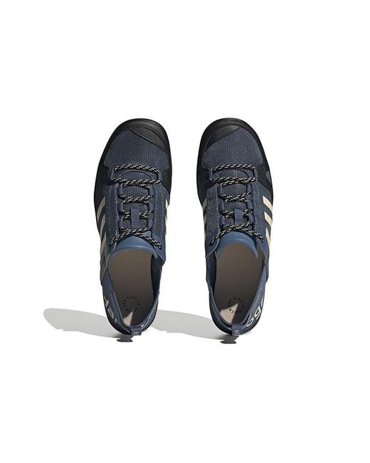 Adidas Blue Terrex Daroga Two 13 Heat.Rdy Hiking Shoes for men