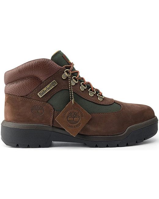 Timberland Brown Field Boot F for men