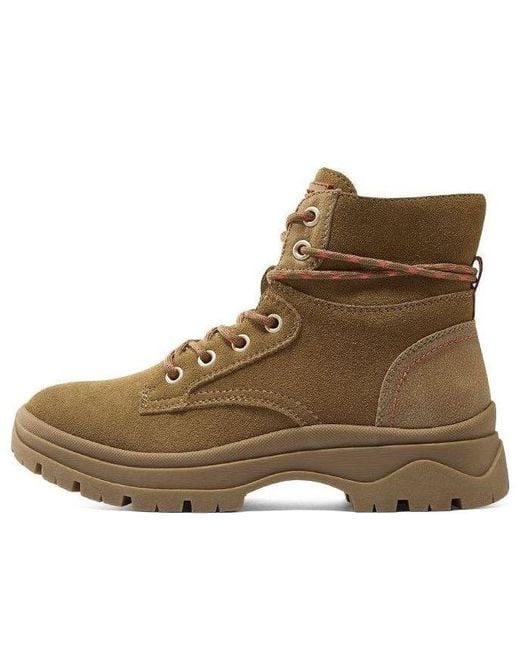 Skechers Brown (Wmns) Bobs Broadies