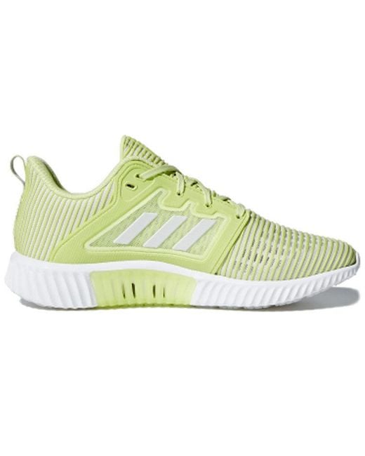 Adidas White (Wmns) Climacool Vent W