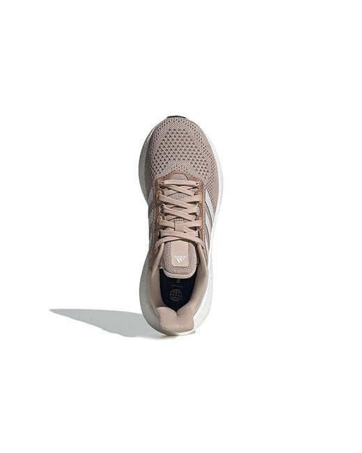 Adidas White Pureboost 22