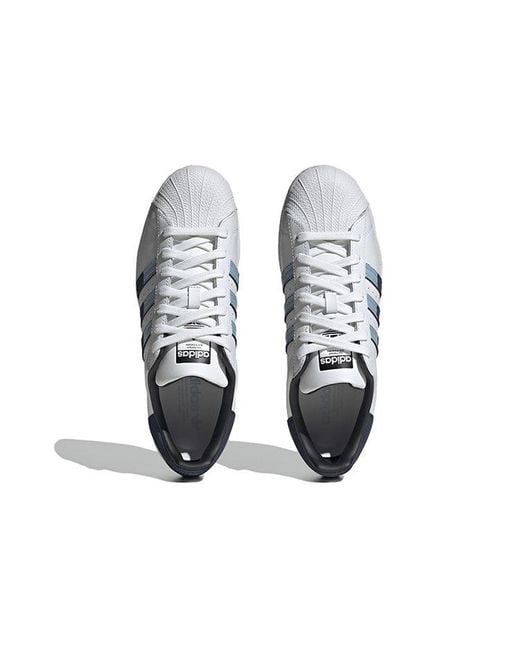 Adidas Blue Superstar Shoes for men