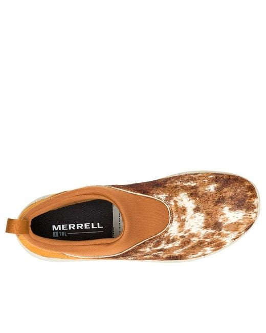 Merrell Brown Winter Moc 3 Ch Se 'Spice' for men