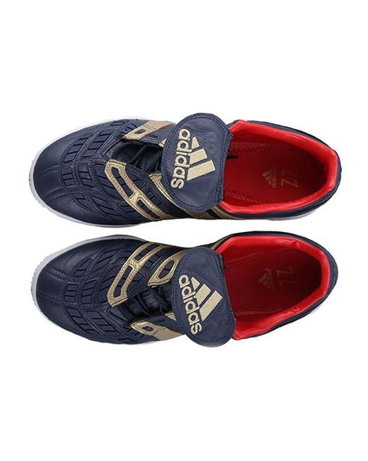 Adidas Blue Predator Accelerator Tr Zinedine Zidane for men
