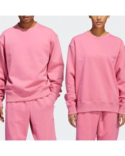 Adidas Pink X Pharrell Basic Sports Sweatshirt