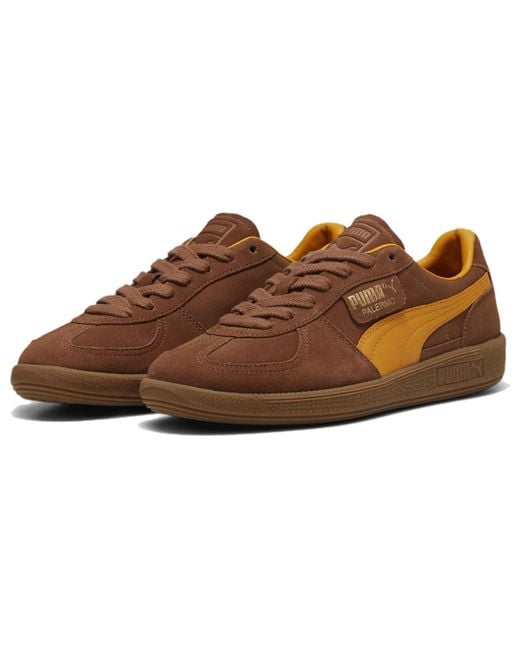 PUMA Brown Palermo Mushroom Ginger Tea' for men