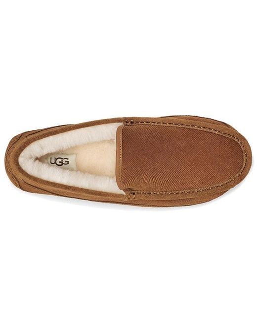 Ugg Brown Ascot Corduroy Ii 'Chestnut' for men