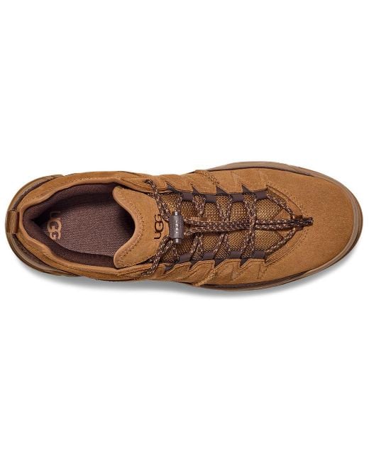 Ugg Brown Captrail Low-top Sneakers for men