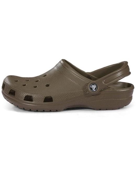 CROCSTM Brown Classic Clog for men